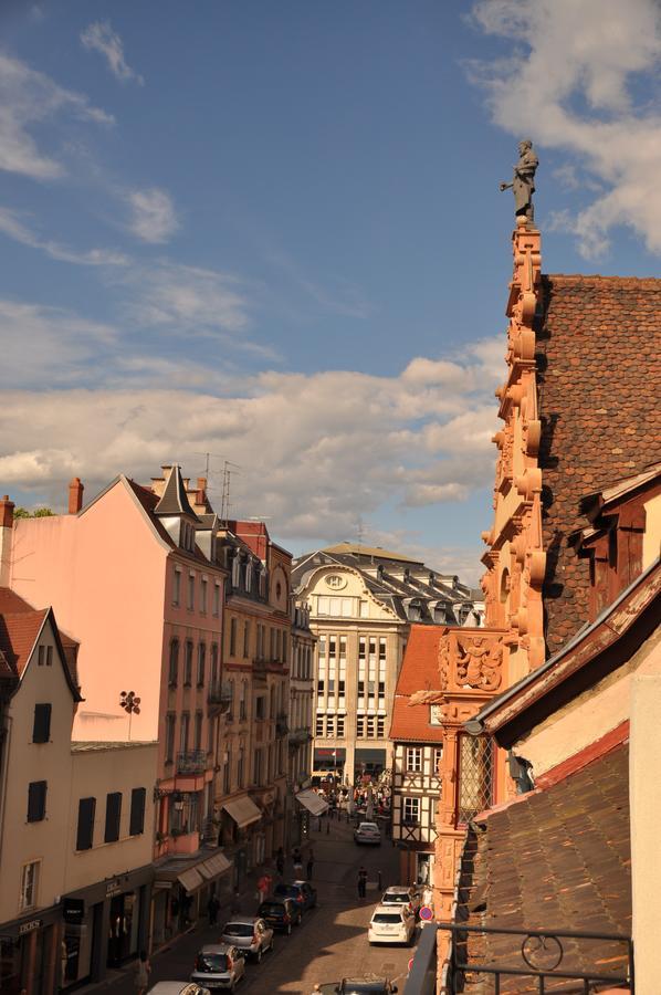 Duplex Climatisé Avec Terrasse Hansi * Colmar